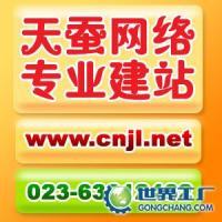 渝中网页设计公司 专业服务与合理价格的完美结合